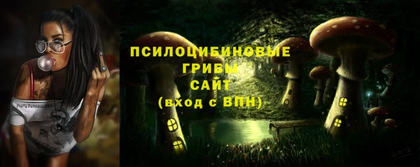 ALPHA PVP Карпинск