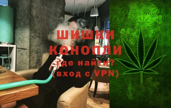 стафф Касимов