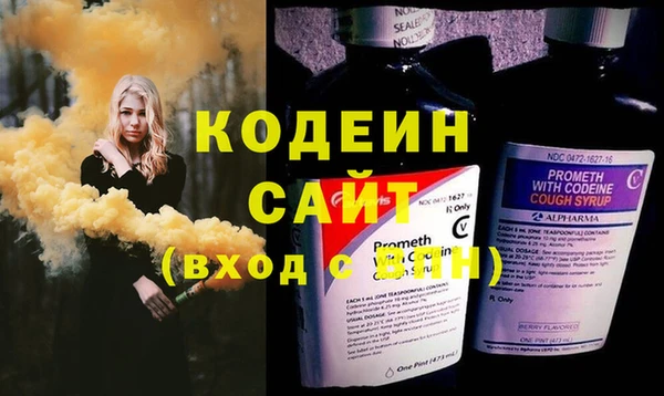 стафф Касимов