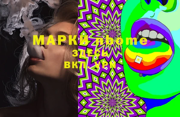 стафф Касимов