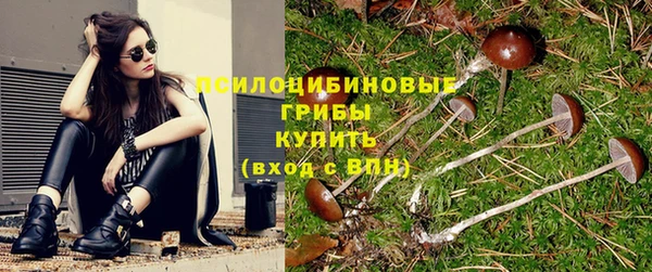 хмурый Кинешма