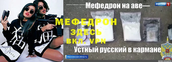 стафф Касимов
