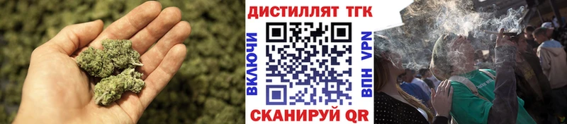 Купить где  Енисейск  ТГК Wax 
