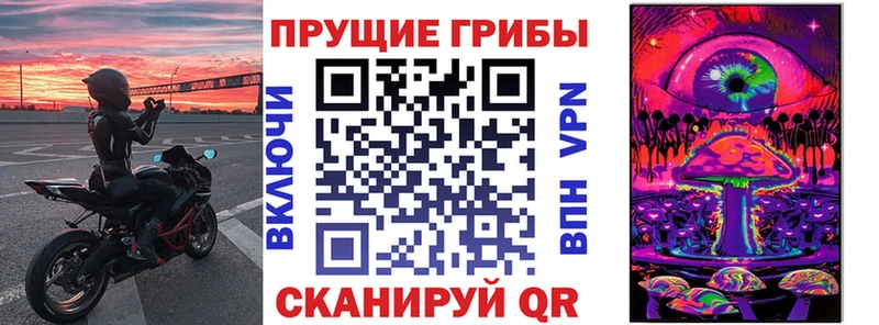 Купить где  Енисейск  Псилоцибиновые грибы Psilocybine cubensis 